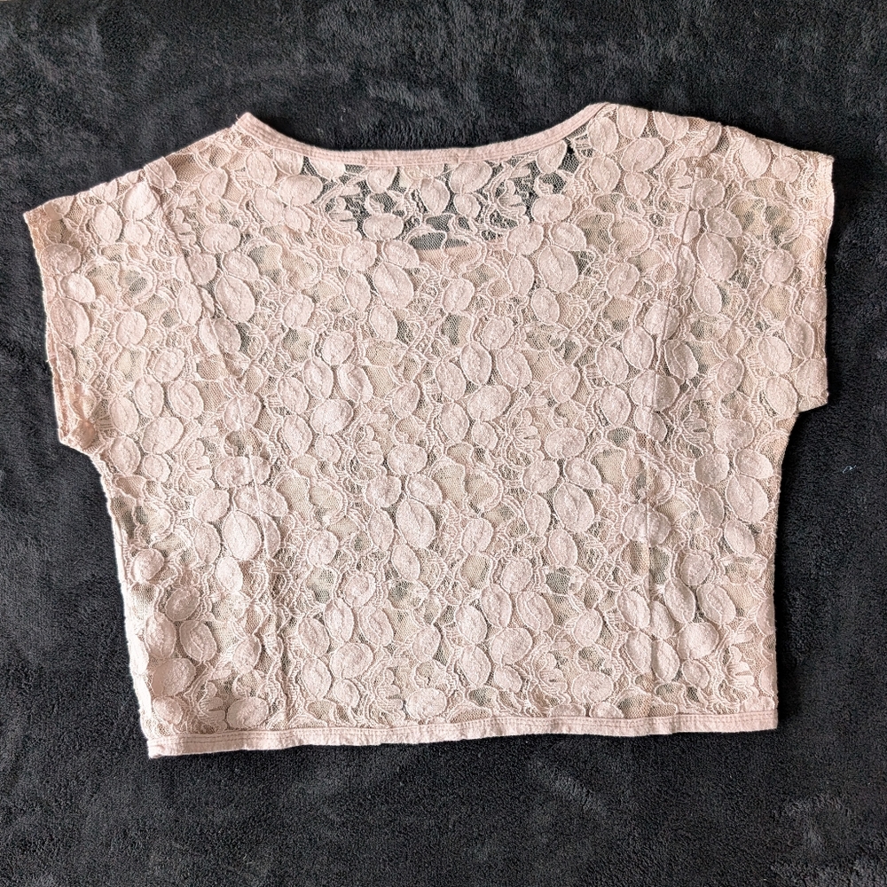 Lace Feminine Blush Pink Sheer Crop Top Coquette Fairy Romantic Kawaii Sz Small - Picture 8 of 14